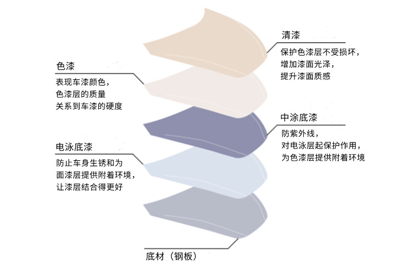 汽车车身漆膜涂层分布