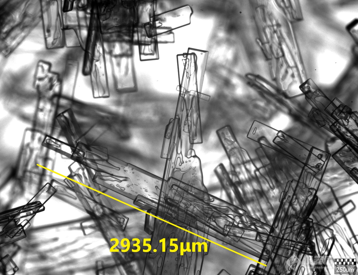 PCM棒状结晶2935.15微米-美化.png