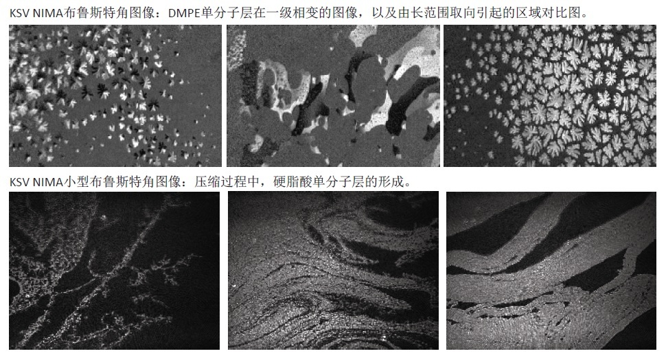 KSV NIMA Microbam 独立式小型布鲁斯特角显微镜